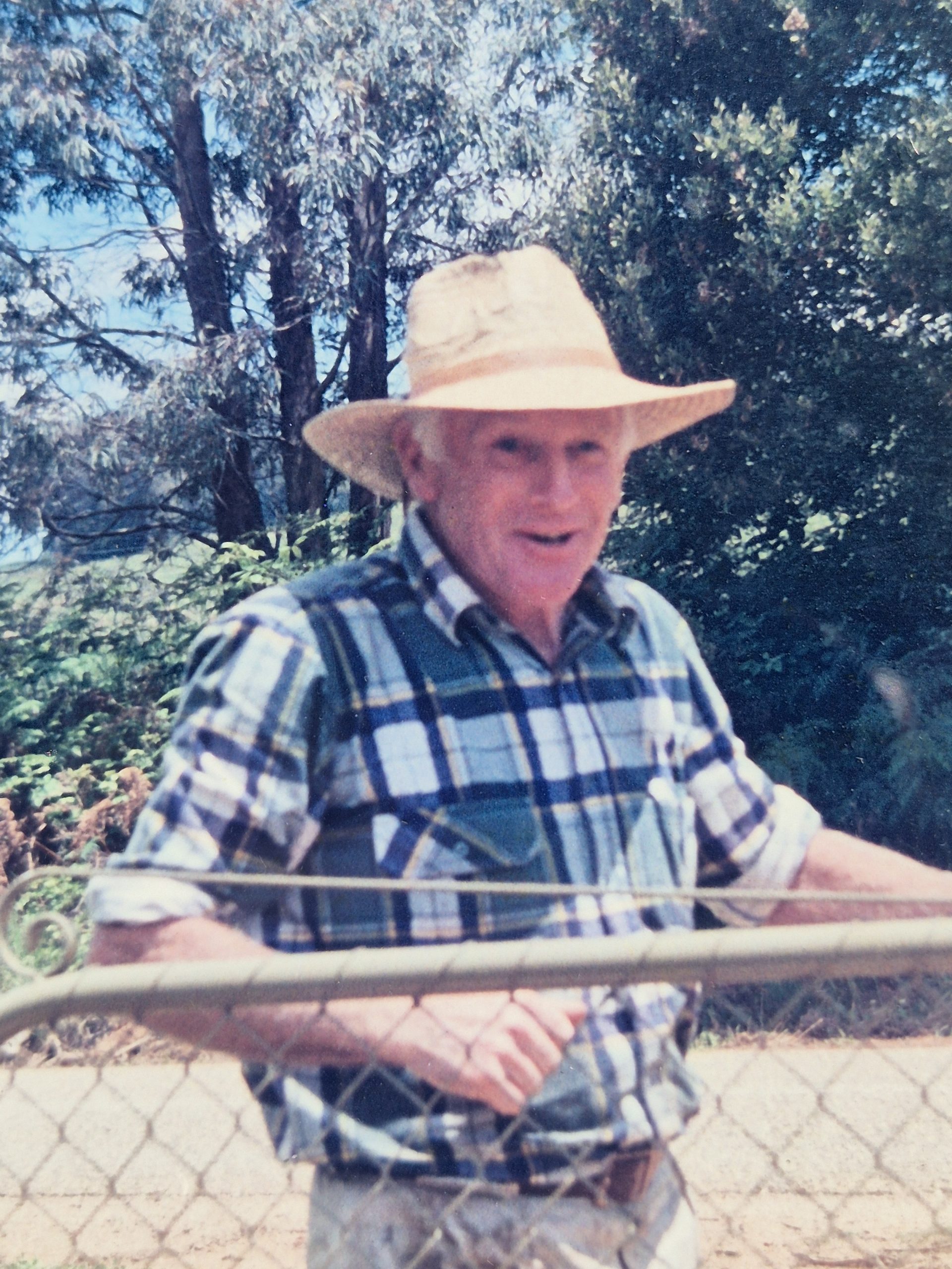 Gifford Neil 